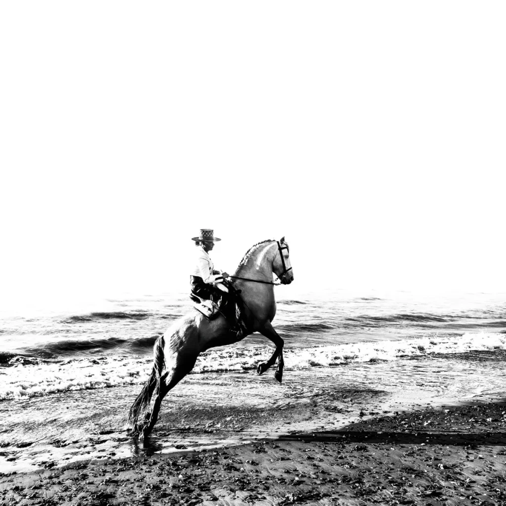 En negro: figura y luz, Daniel Estrada | Galería Duque Arango