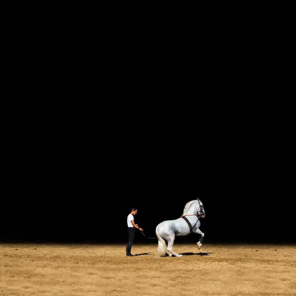 En negro: figura y luz, Daniel Estrada | Galería Duque Arango