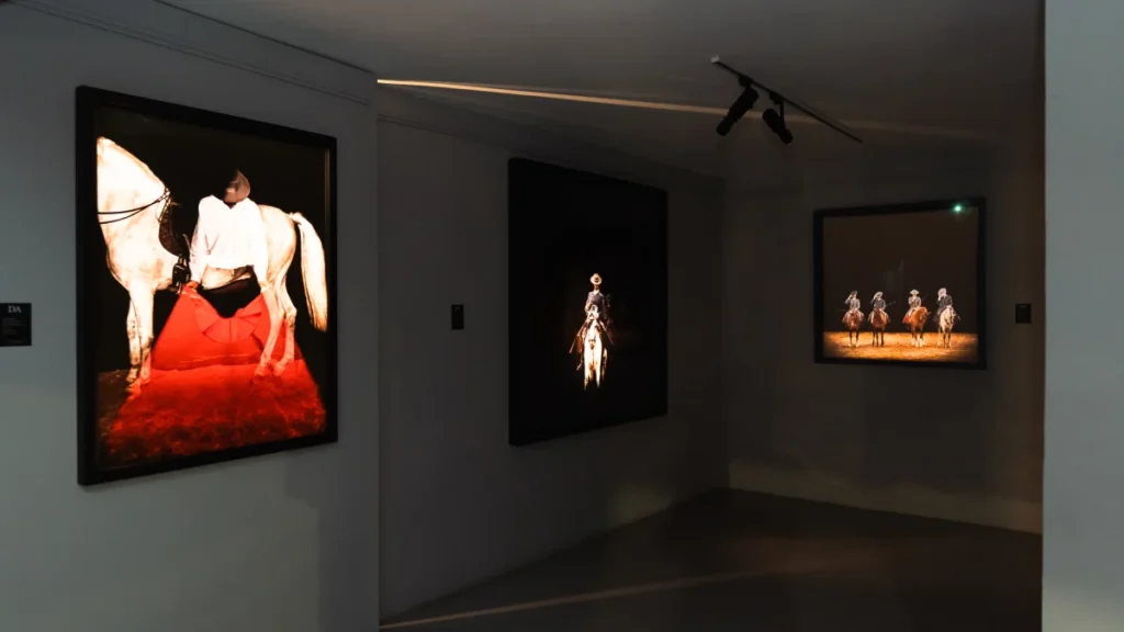 Daniel Estrada | Galería Duque Arango