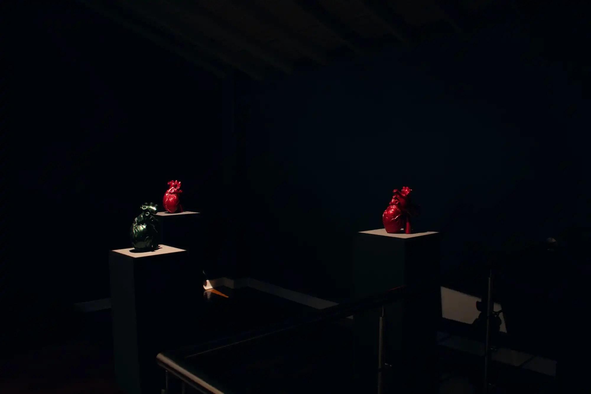 Esporas - Exposición de Manuela Echeverri