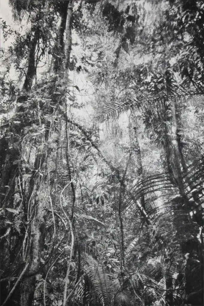 Selva Chocó